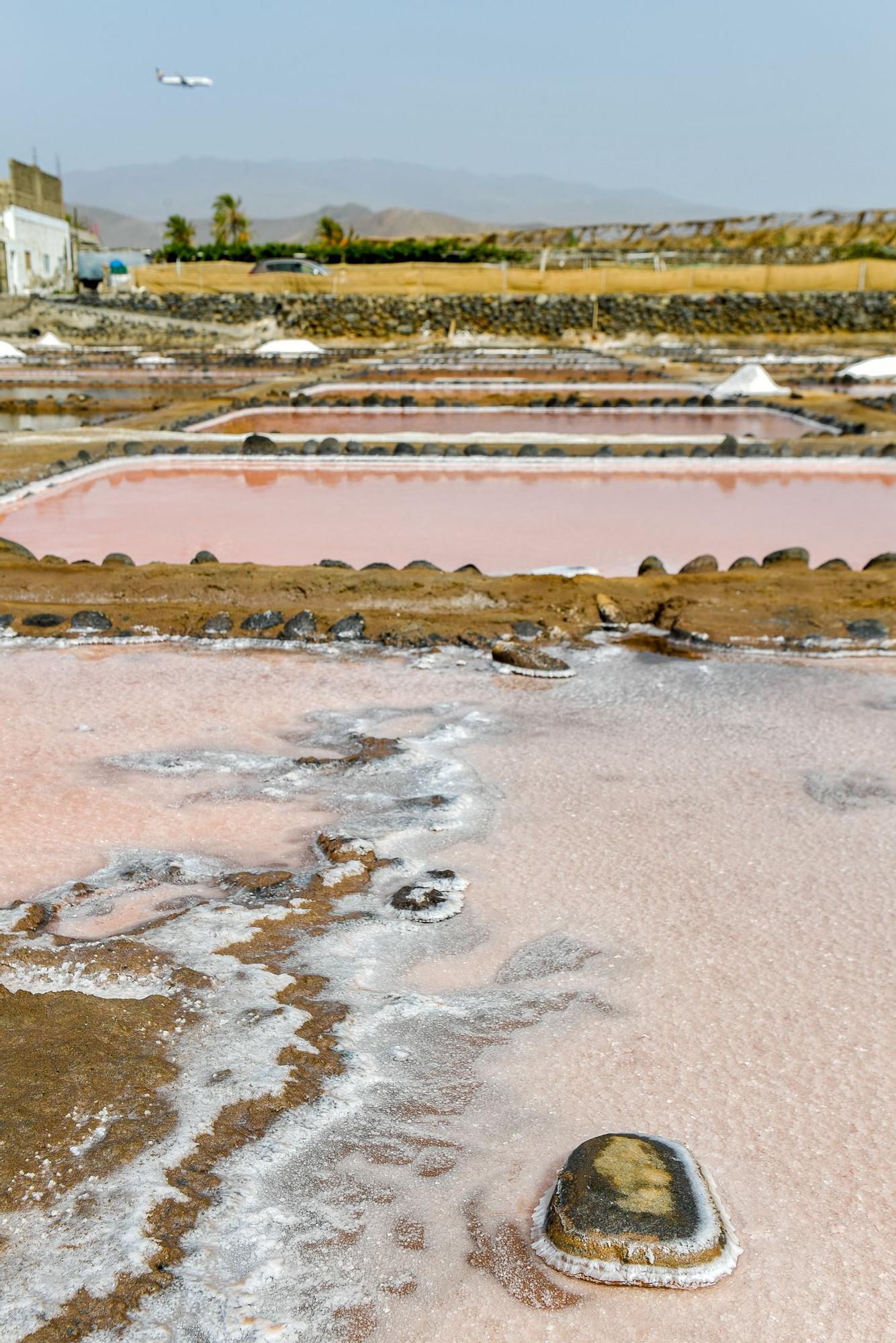 Salinas de Vargas