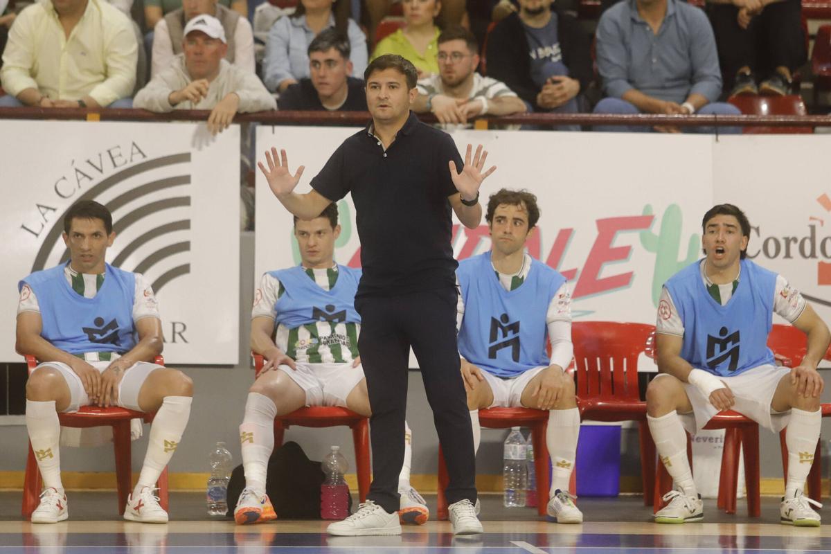 El Córdoba Futsal - Industrias Santa Coloma, en imágenes El Córdoba Futsal - Industrias Santa Coloma, en imágenes