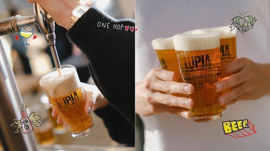 Lupia celebra el origen de la cosecha y la tradición cervecera en una nueva edición de la Festa do Lúpulo de Betanzos