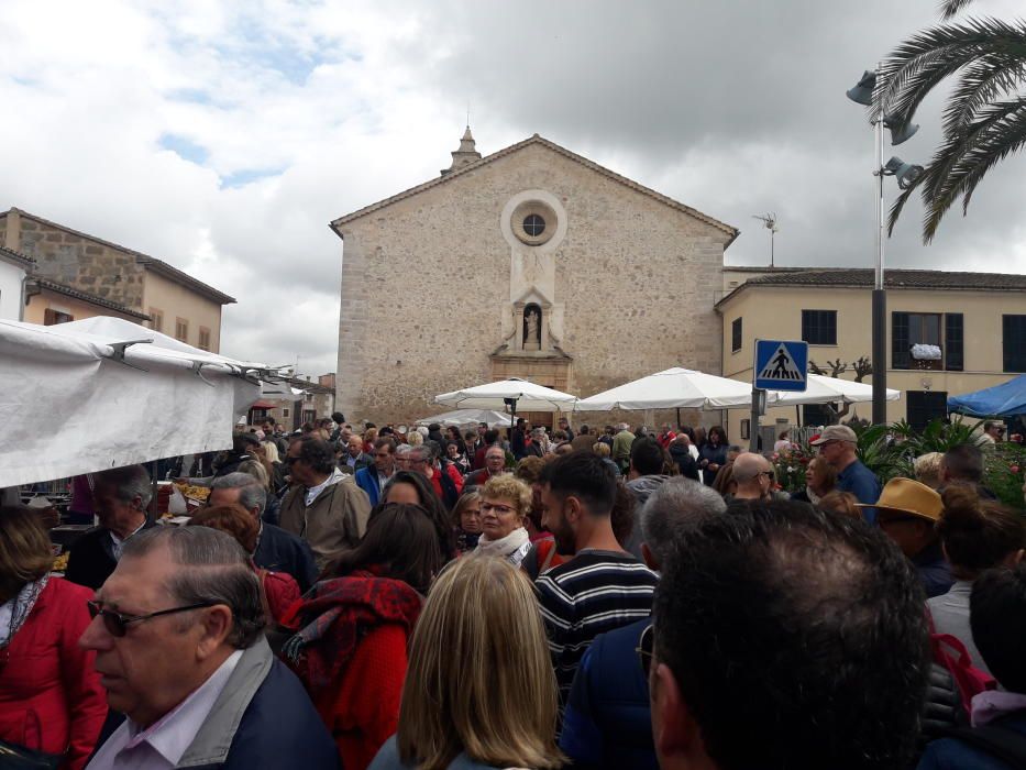 Verregnetes Blumenfest in Costitx