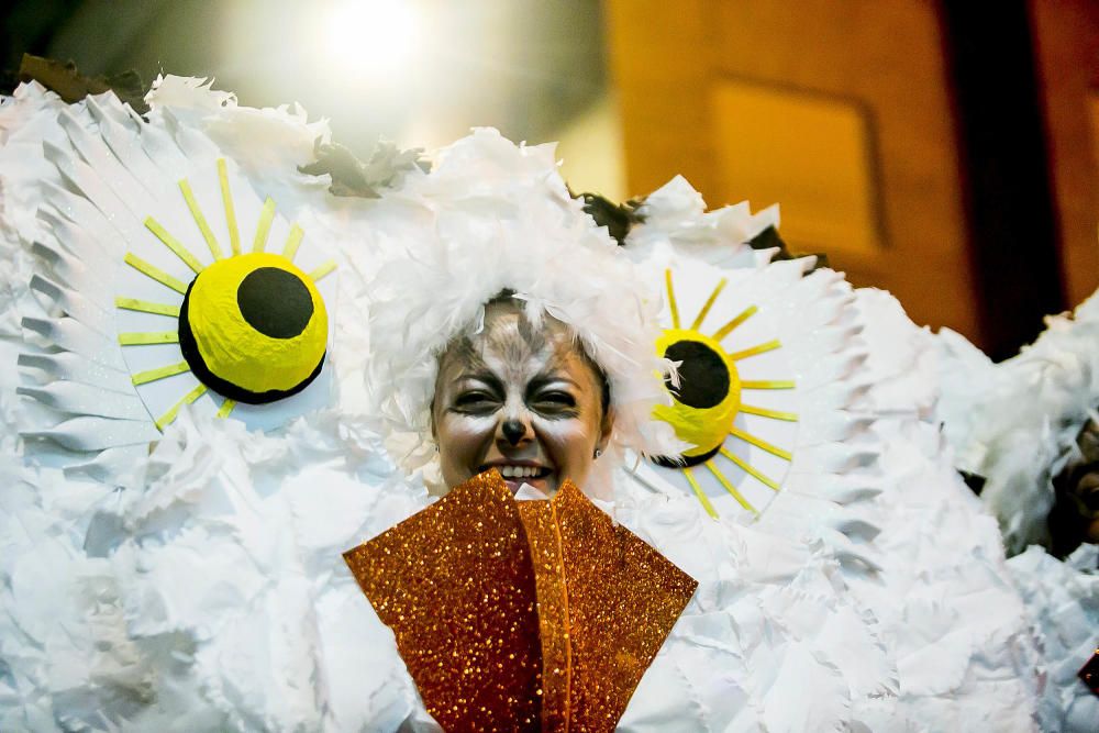 Búscate en las fotos del Carnaval en Benidorm