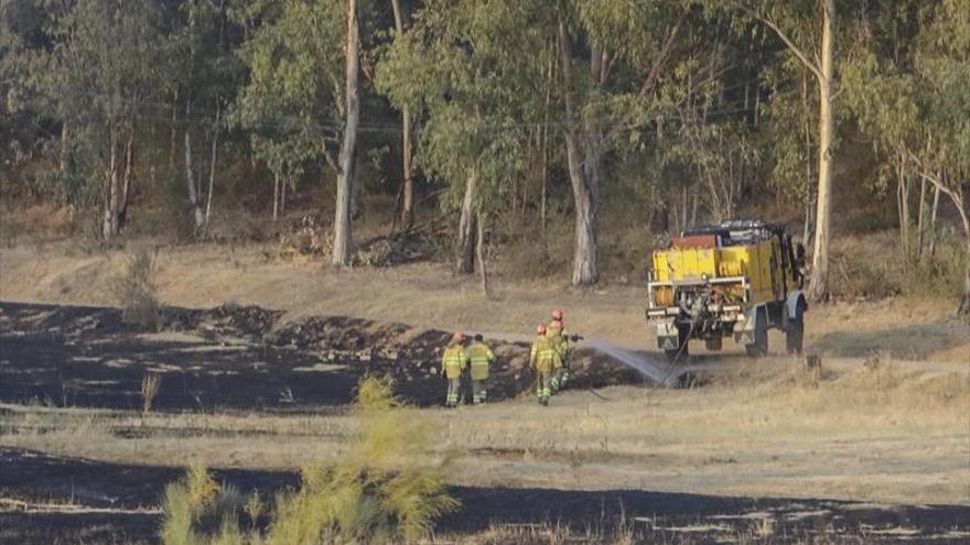 Los bomberos sofocan un fuego de pasto en el Cefot