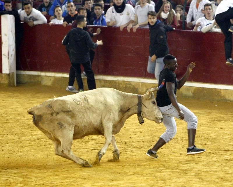 Mañana de vaquillas