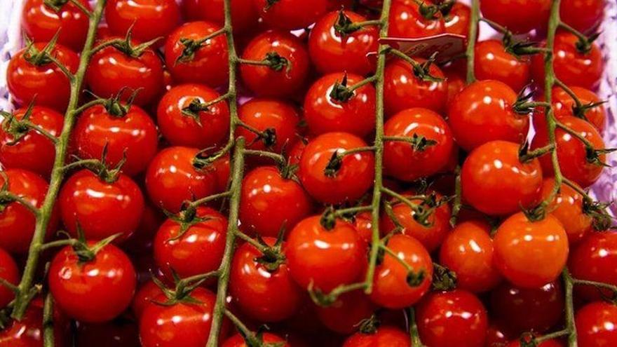 Los tomates pierden su sabor en la nevera