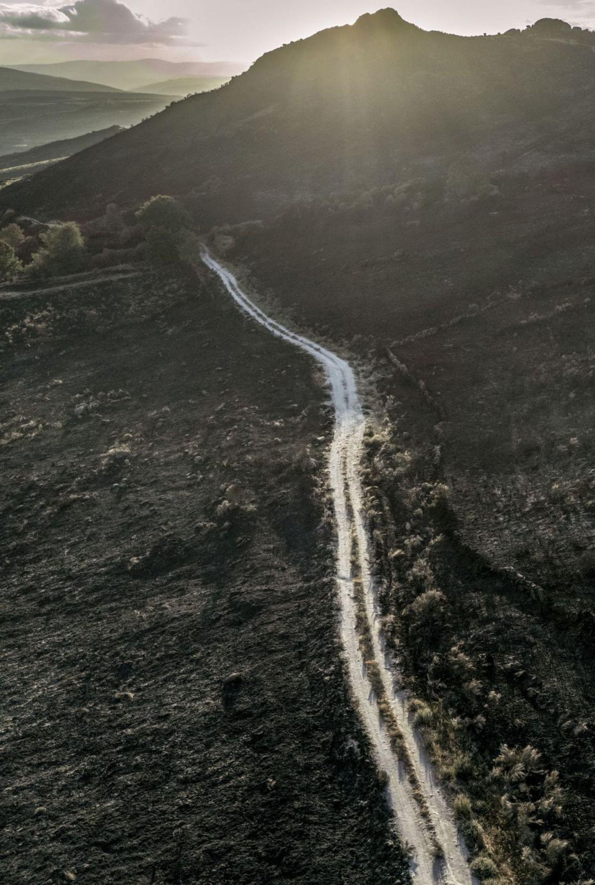 Les negligències originen el 56% dels incendis i només el 25% són intencionats Les negligències originen el 56% dels incendis i només el 25% són intencionats