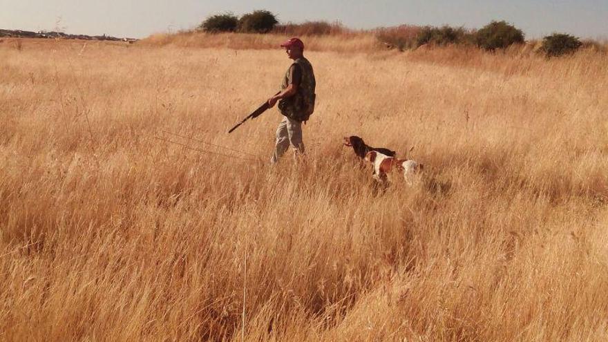 Un cazador en un campo de la provincia.