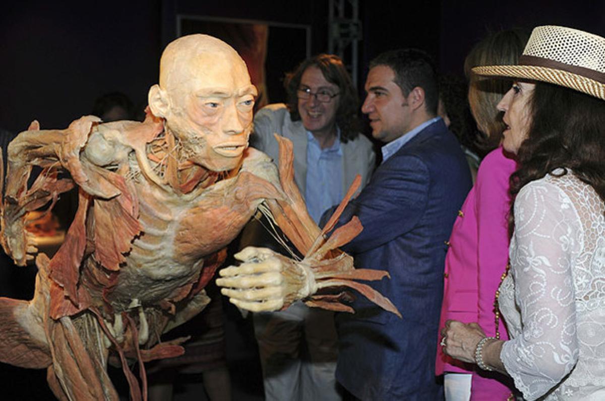 L’exposició ’The human body’, composta per cadàvers i òrgans plastinitzats, es mostra al Palau de Fires i Congressos de Marbella i ofereix als visitants un recorregut per tots els sistemes de l’organisme.