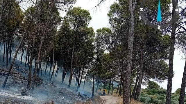 Las brigadas del Infoca, en el incendio de Rute
