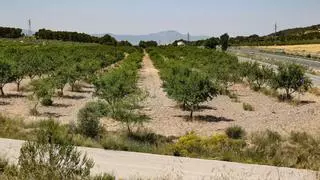 El polígono de La Canal, también condición del PP para los presupuestos de Alcoy