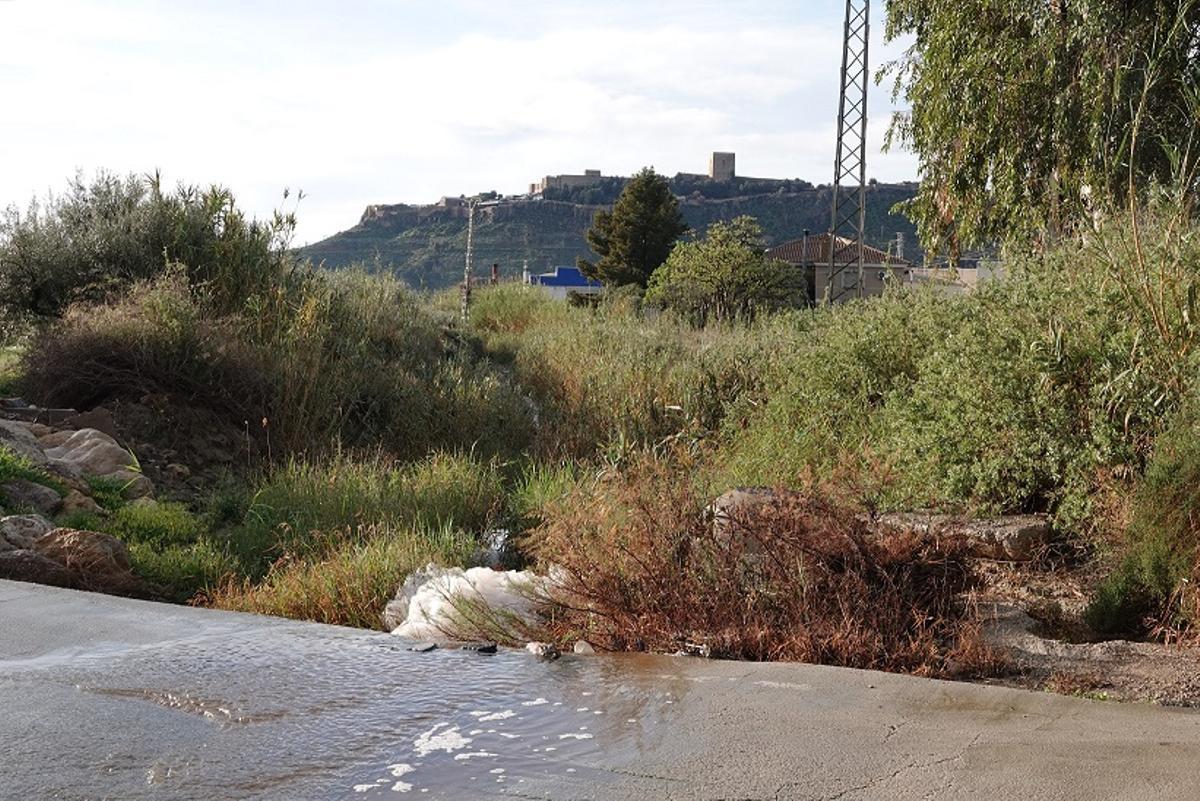 Poza contaminada localizada en una de las ramblas que desembocan en el Guadalentín.