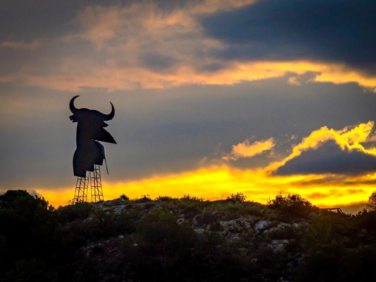 Estado del toro de Osborne de Tavernes de la Valldigna, sobre un montículo de la carretera N-332.