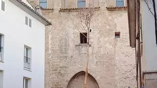 La retirada del Pi de Sant Antoni inicia  la Cuaresma en Pollença