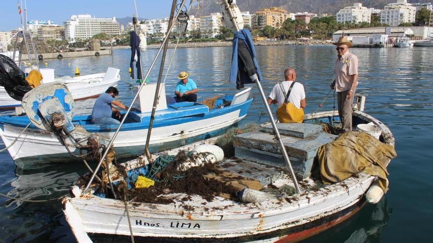 Pescadores con sus embarcaciones atracadas en el puerto de La Bajadilla.