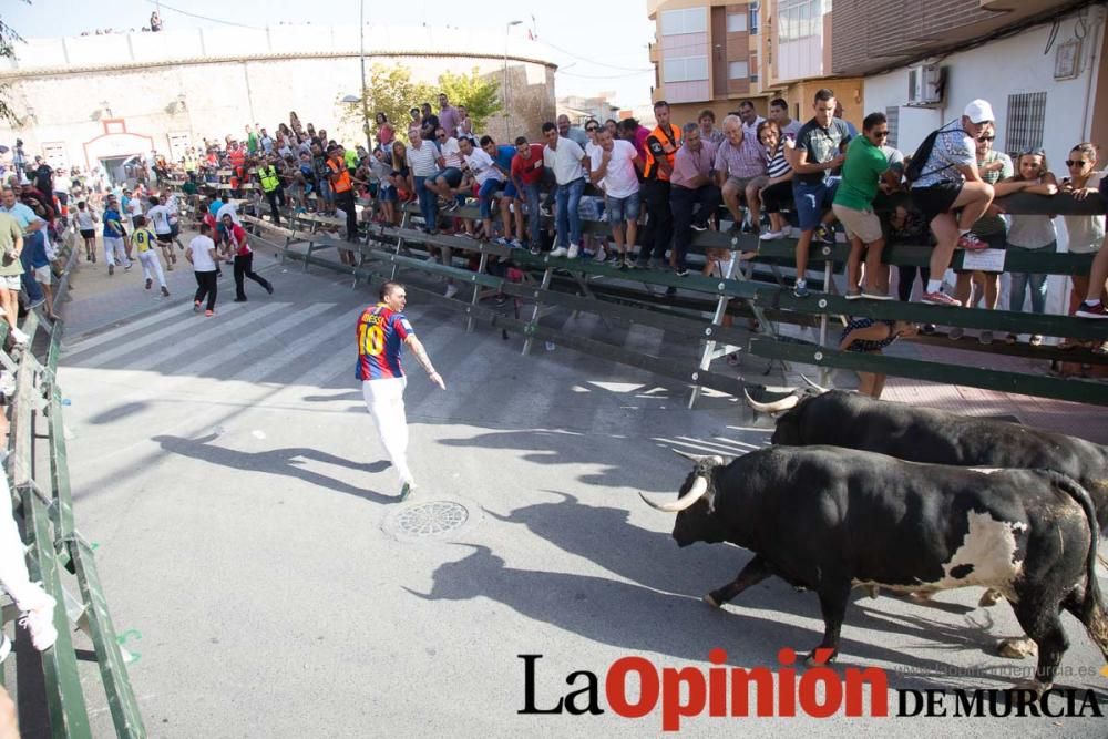 Segundo encierro de Calasparra