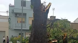 Los pueblos donde más ha llovido en la Comunitat Valenciana, según Aemet: Bejís lidera con 186 l/m²