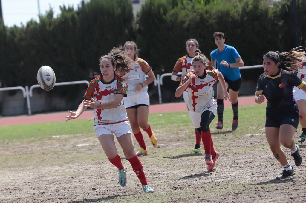 Torneo de rugby