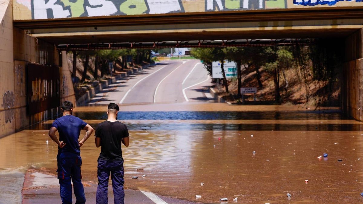 Los efectos del temporal en Camp de Morvedre