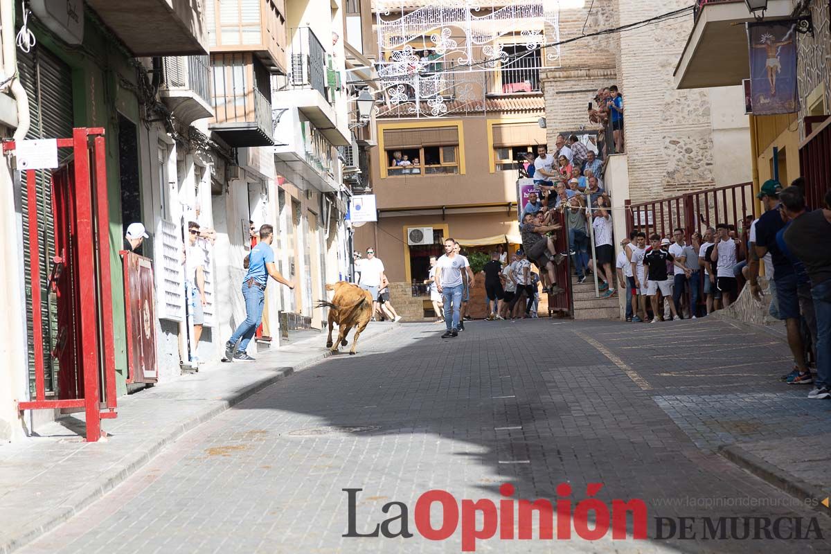 Séptimo encierro de las Fiestas de Moratalla