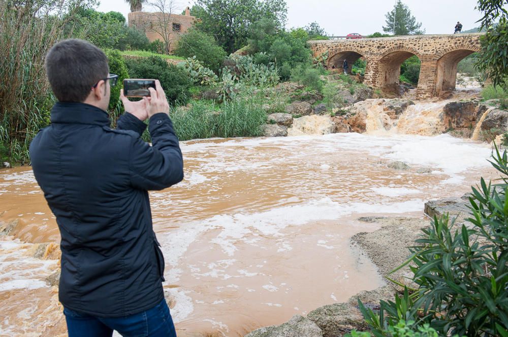 Muchos curiosos se han acercado a hacer fotos al río de Santa Eulària que ha amanecido con un gran caudal gracias a las fuertes lluvias que han caído esta noche.