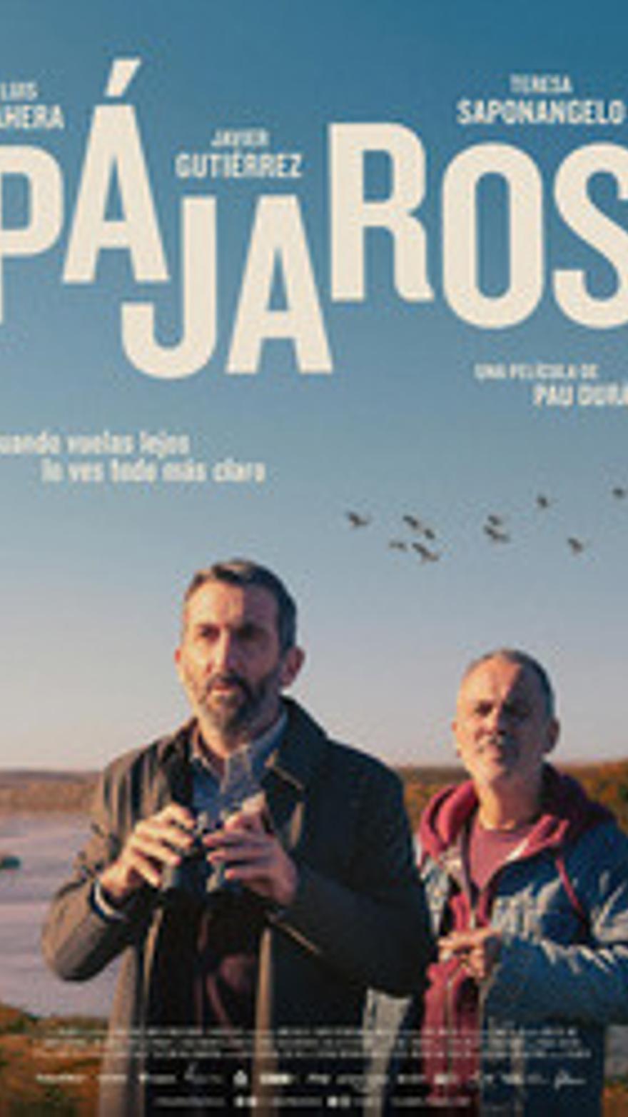 Pájaros