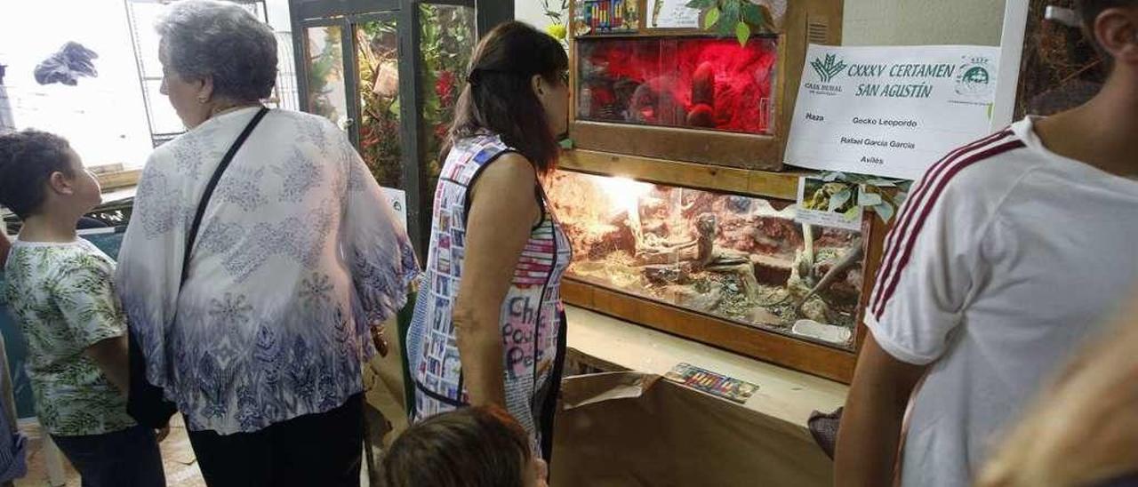 Visitantes en el espacio reservado para reptiles en la granja del pabellón de La Magdalena.