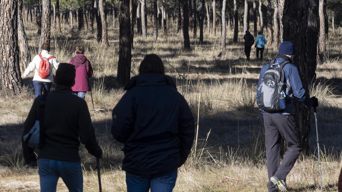 Cientos de voluntarios se movilizan en Traspinedo para localizar algún rastro de Esther López.