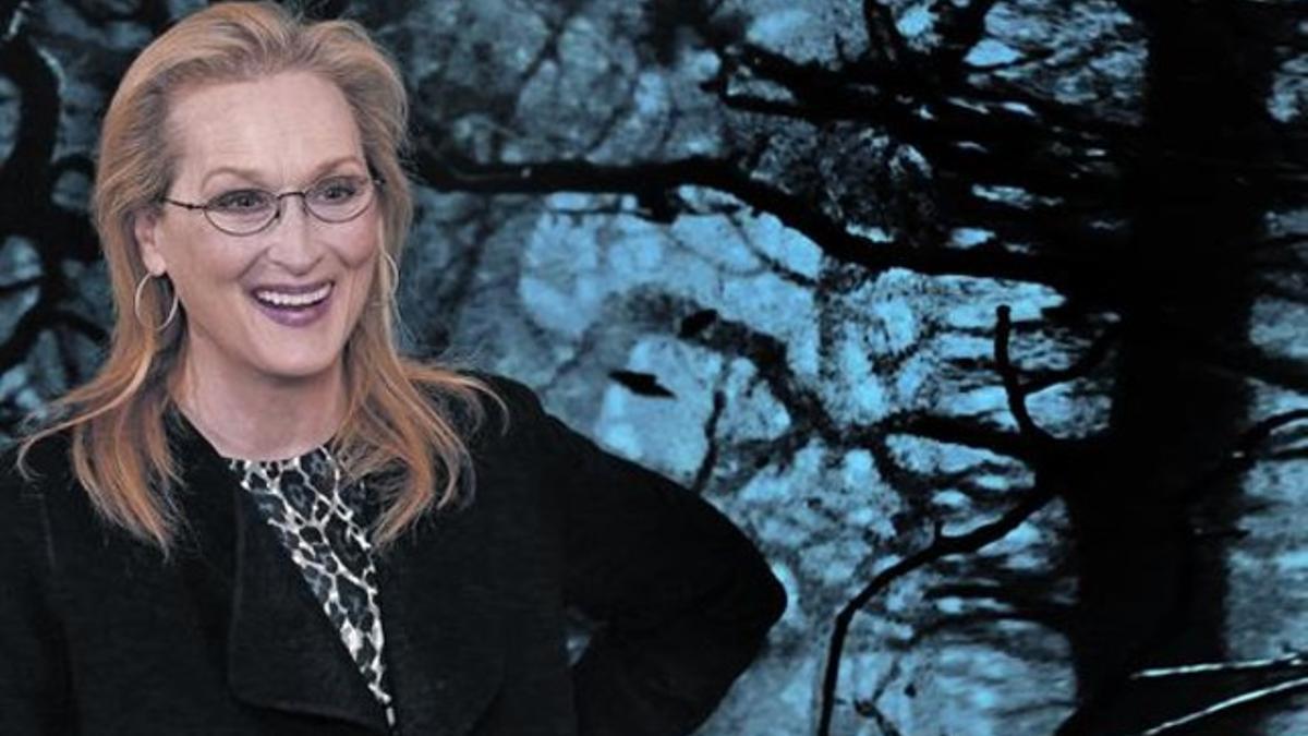 Meryl Streep «He surfeado en la ola de la fortuna»_MEDIA_1