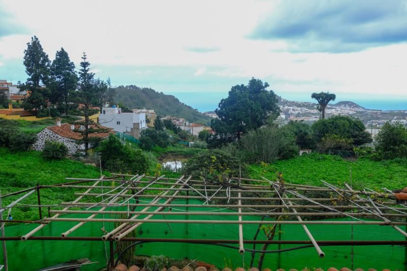 El agua caída con filomena beneficia al campo aruquense