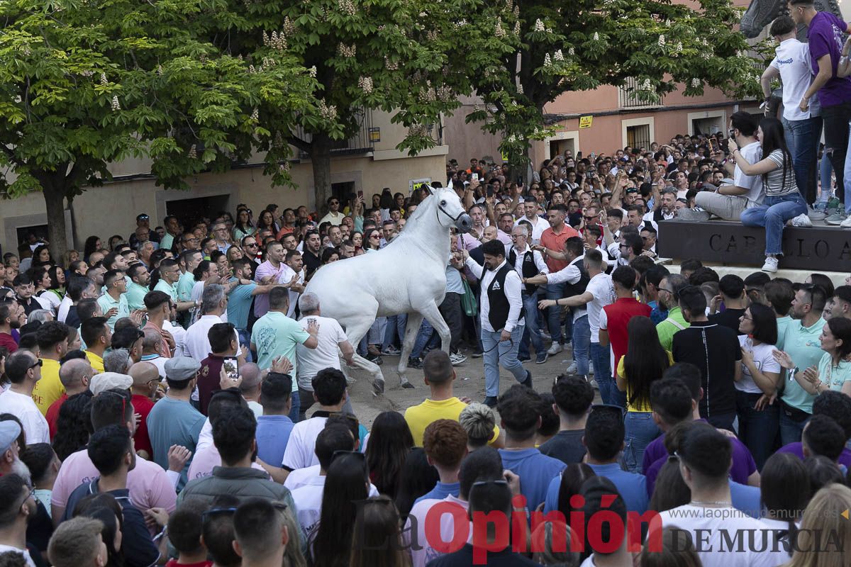 Fiestas de Caravaca | Entrega de premios del concurso morfológico