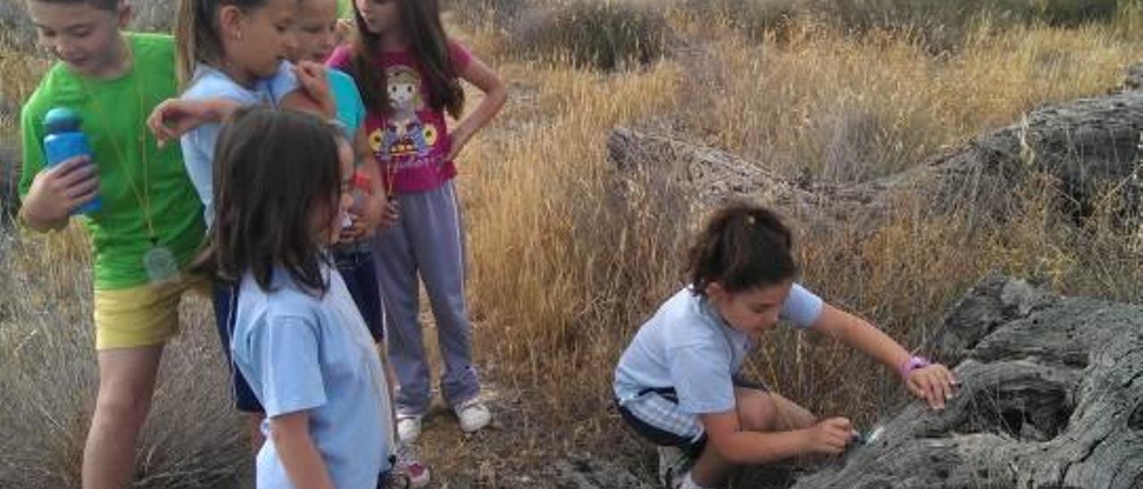 Un final de curs molt divertit en l&#039;escola rural del Verdegàs