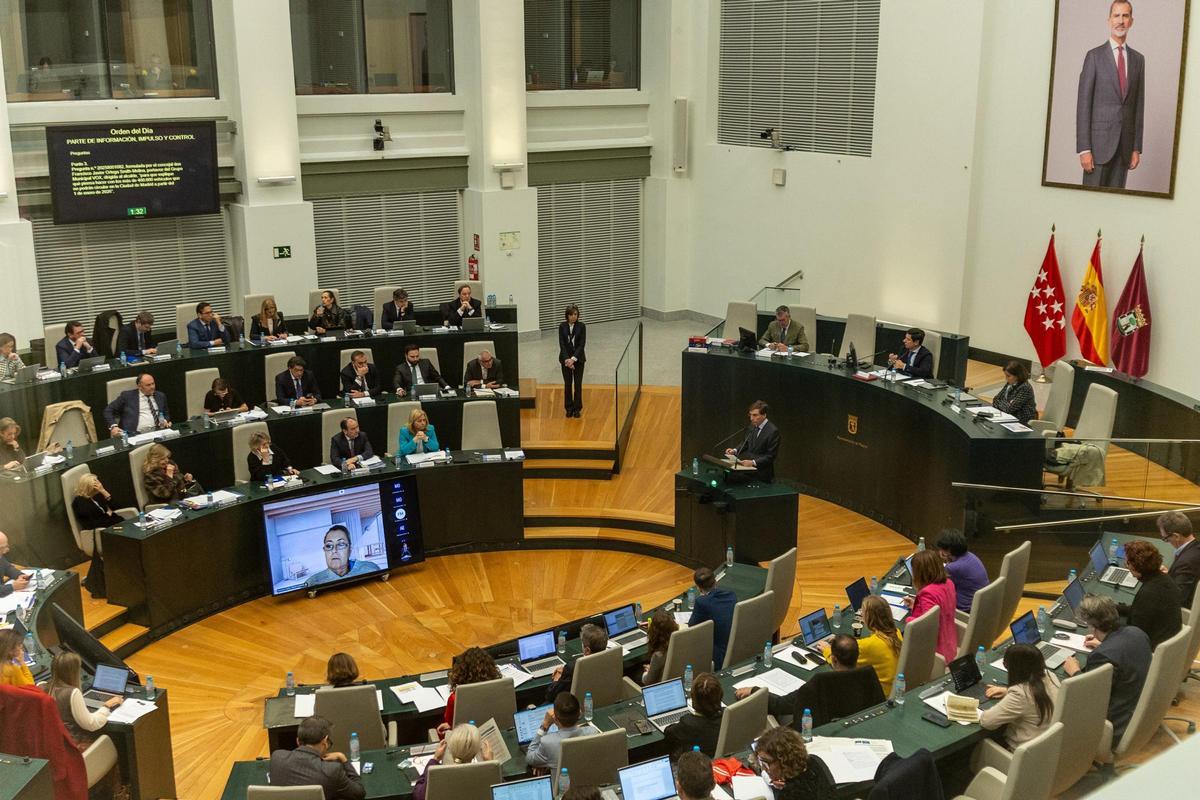 Pleno ordinario del Ayuntamiento de Madrid, en el Palacio de Cibeles.