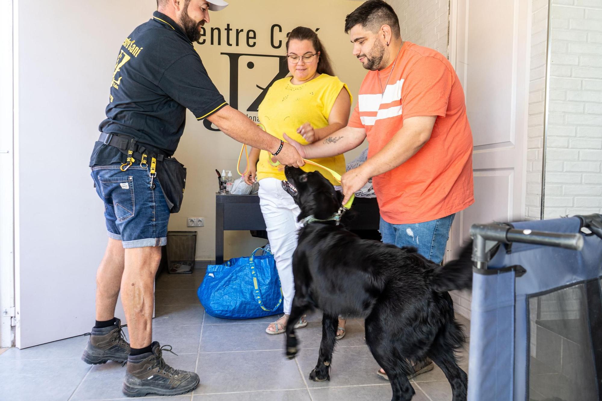 Residències canines: Centre Caní Jonatan Zafra, a Sant Fruitós de Bages