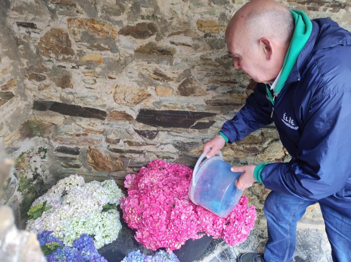 En imágenes: Castropol se llena de flores para el Corpus