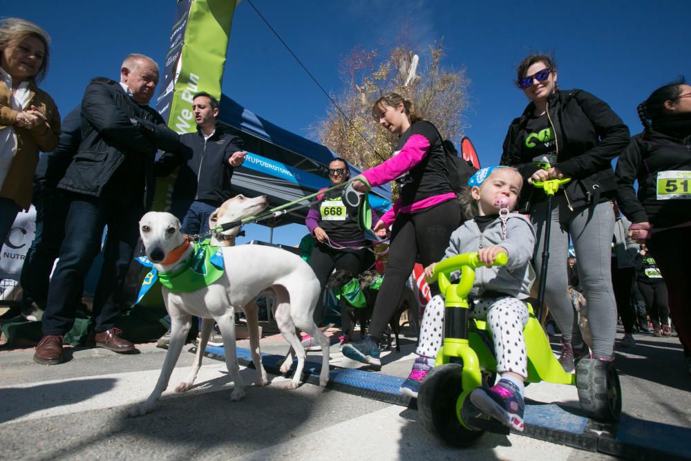 Can We Run: Gran carrera de perros para la concienciación animal