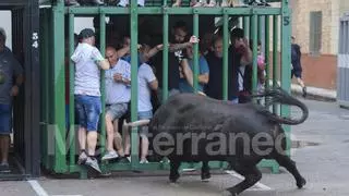 Moncofa: la temporada deja 15 astados exhibidos