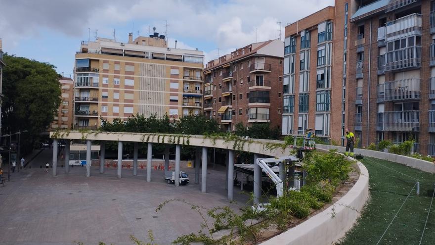 Todos los proyectos municipales de Murcia &quot;deberán tener un enfoque verde&quot;