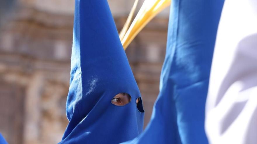 Procesión del Domingo de Ramos en Zaragoza