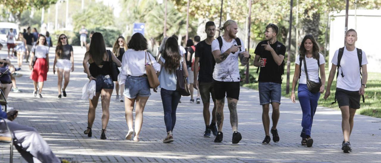 Estudiantes de la UA, en el campus de San Vicente del Raspeig.