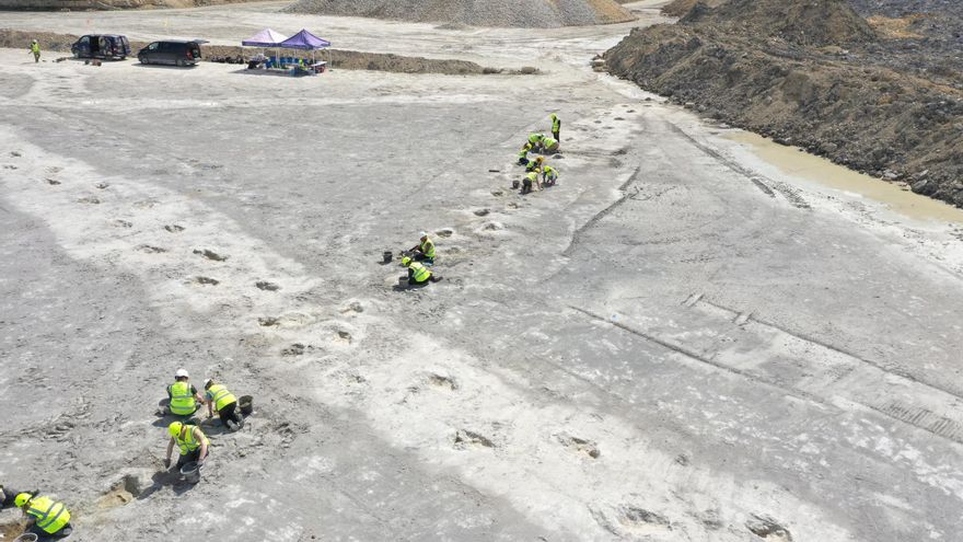 Descubierto el mayor yacimiento de huellas de dinosaurios en Reino Unido