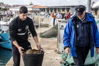 El centollo ya está aquí
