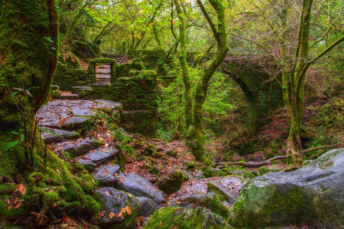 Parque Natural de las Fragas del Eume