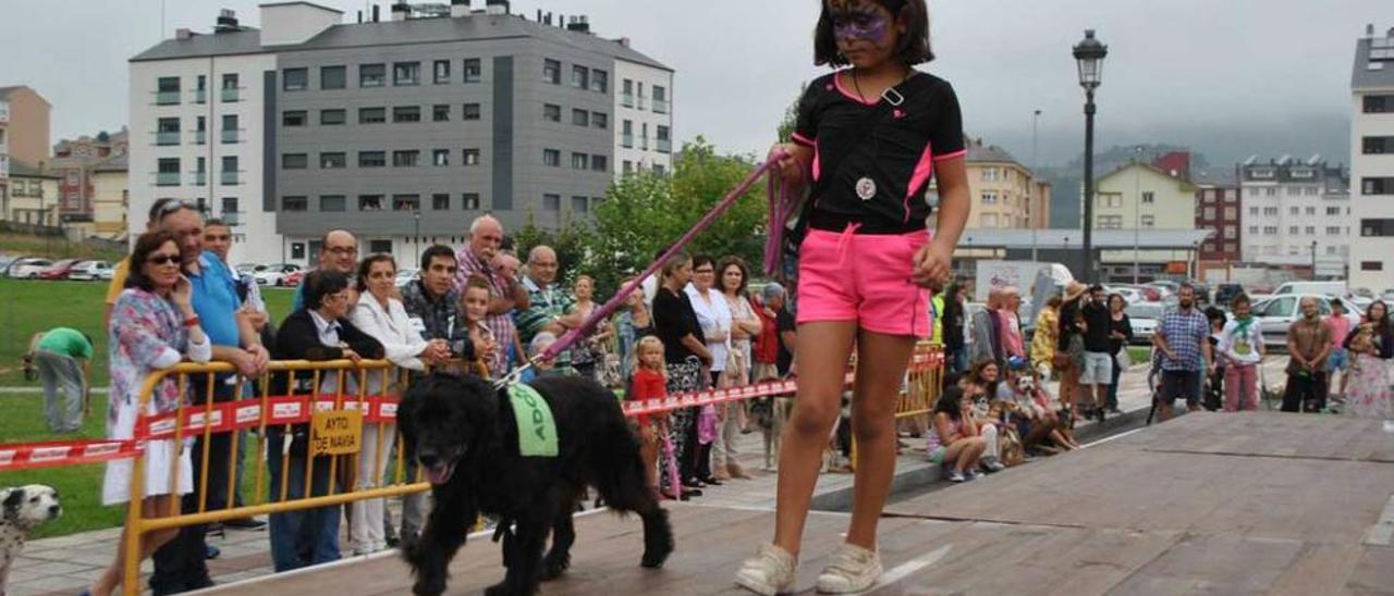 Una niña pasea a &quot;Dana&quot; durante el desfile, ayer, en Navia.