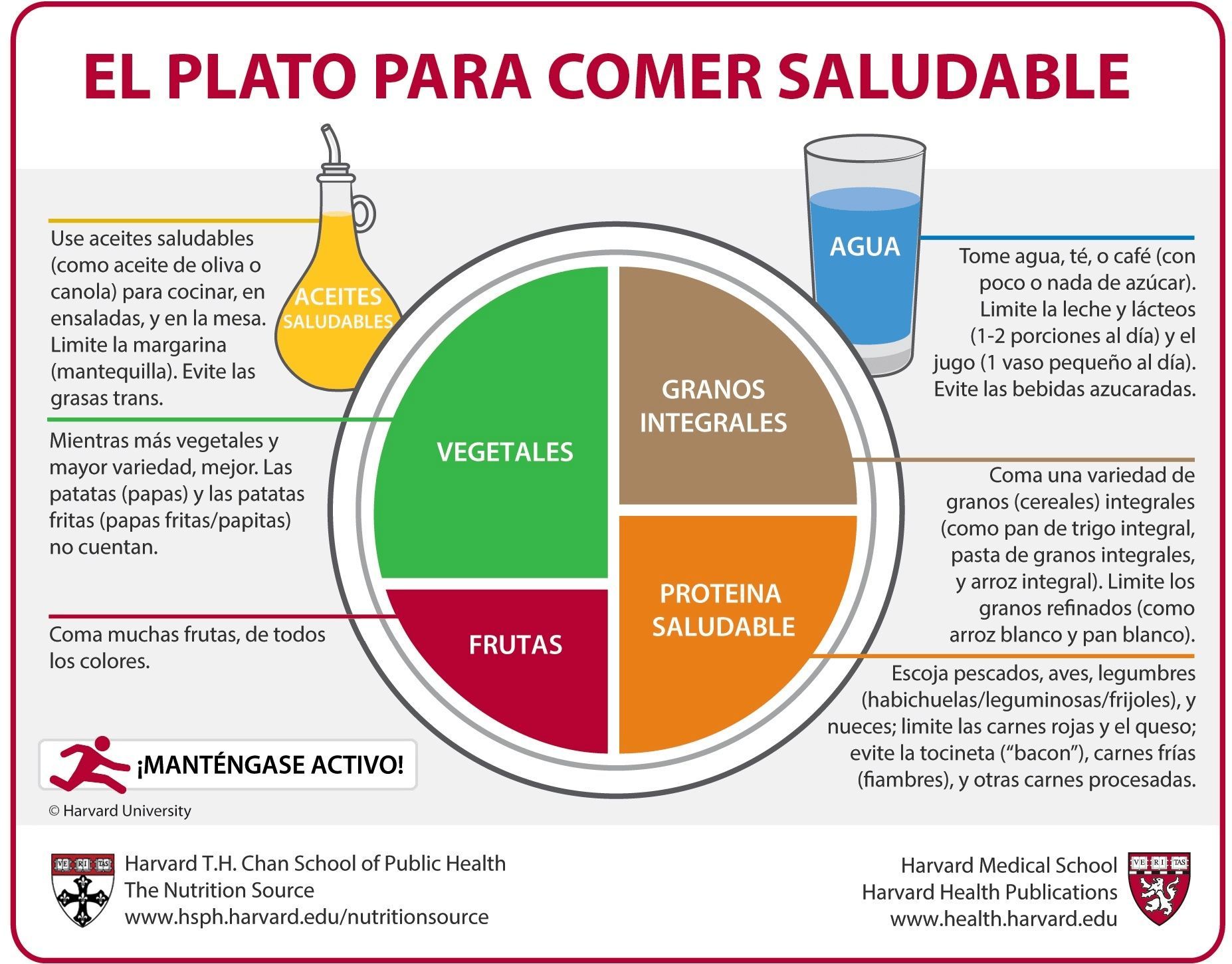 El plato de Harvard.