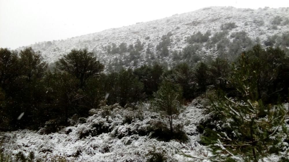 Fotos de la Llacuna, en Villalonga, completamente cubierta de nieve.