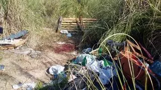 Un hombre sintecho mata a otro a martillazos en el marjal de Gandia durante una riña