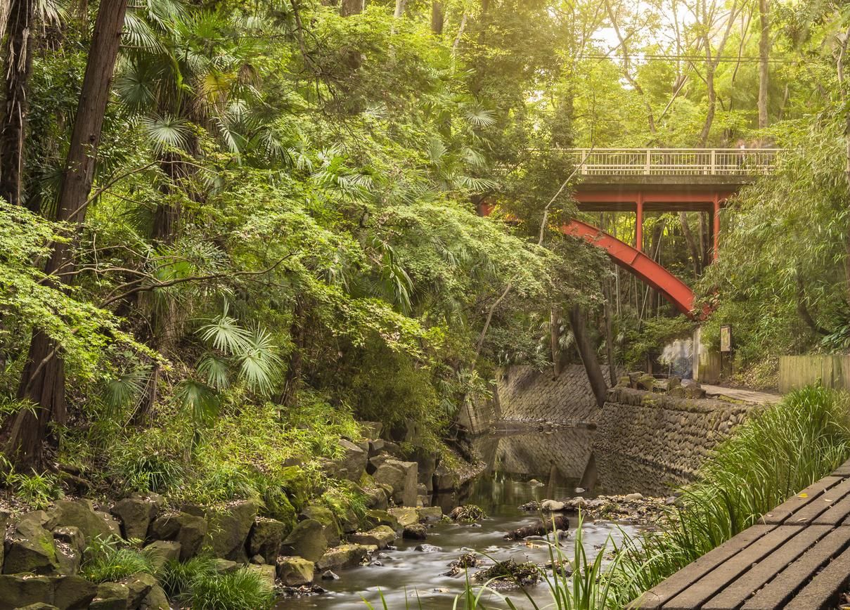 El valle Todoroki es un remanso de paz en Setagaya.