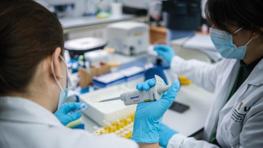 Tenerife Launches €5 Million ‘Talentum Program’ to Combat Scientific Brain Drain