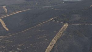 El foc, entre el deliri i el delicte