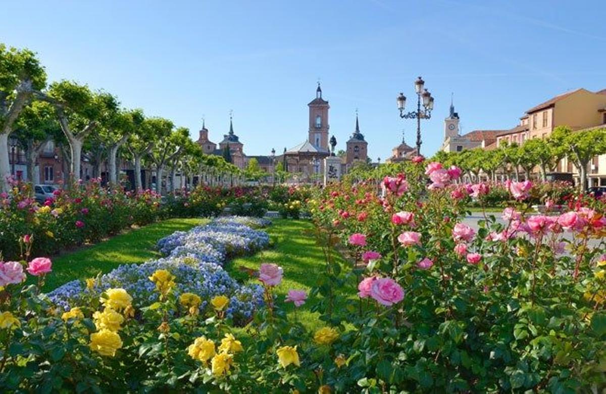 Alcalá de Henares