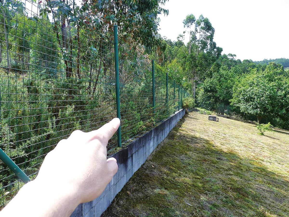 Terreno en Ventosa totalmente a monte, izquierda, el pasado mes de agosto poniendo en peligro otra propiedad. Foto: CG